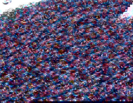 11/0 MIYUKI - rocalla - Fuchsia Lined Aqua - 1gr. -  - Crystaldreams Abalorios