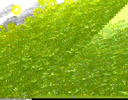 8/0 MIYUKI - rocalla - Trasp Chartreuse - 1gr. - 143  - Miyukilandia